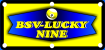 BSV-LN-Logo klein